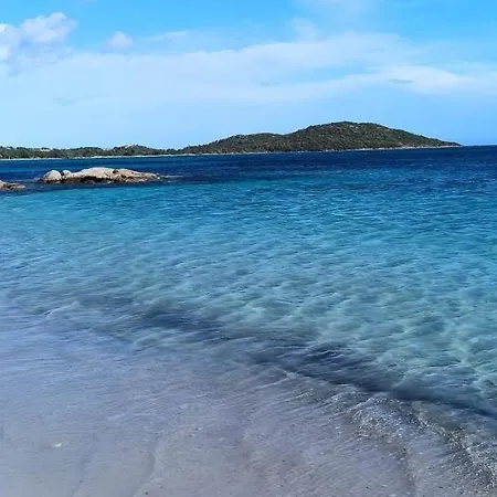 Appartamento Lecci St Cyprien Don Andria *