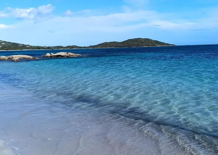 Appartement Lecci St Cyprien Don Andria *